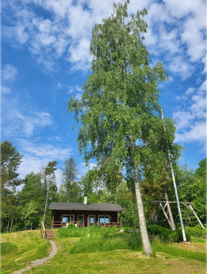 koivula 2026